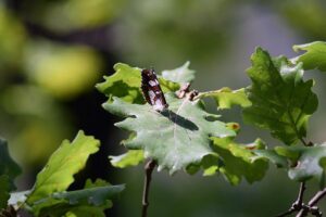 IMG_20230925_072931_397
