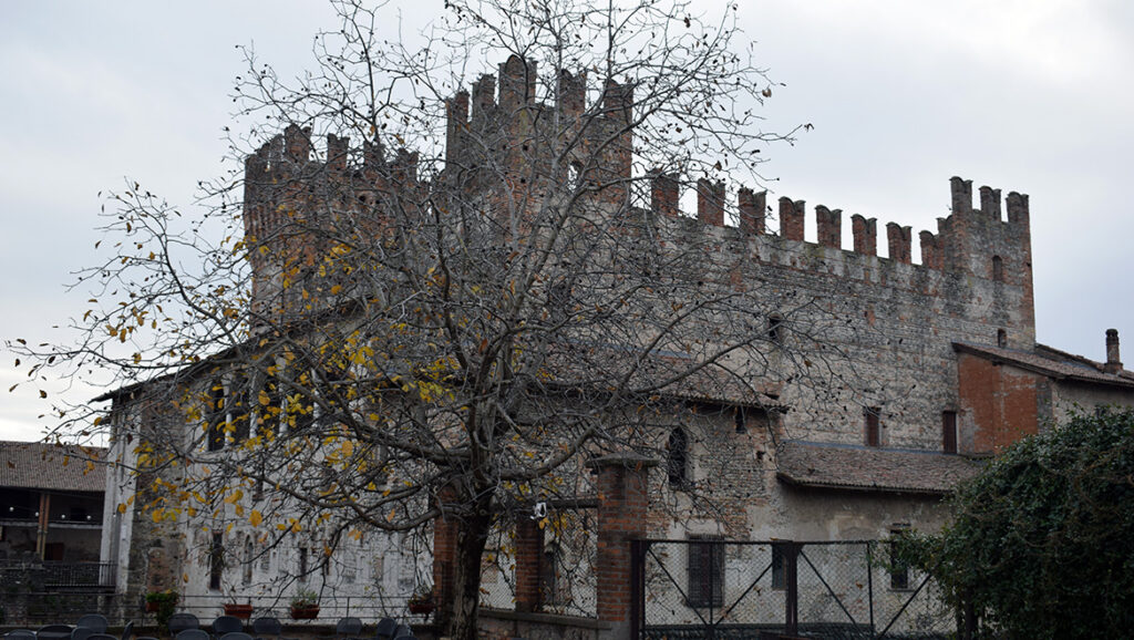 Foto settimana (2)